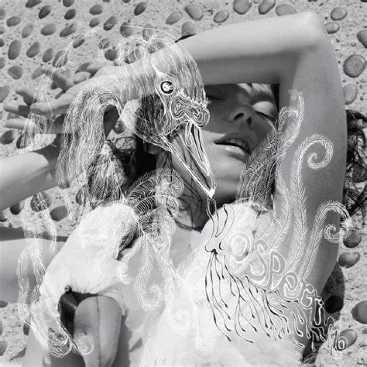 050_bjork_vespertine.jpg