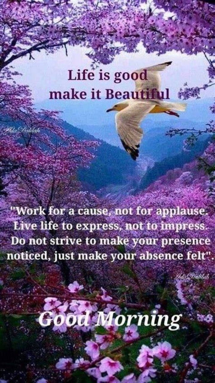 100 Beautiful Good Morning Quotes, Wishes & Messages 2022