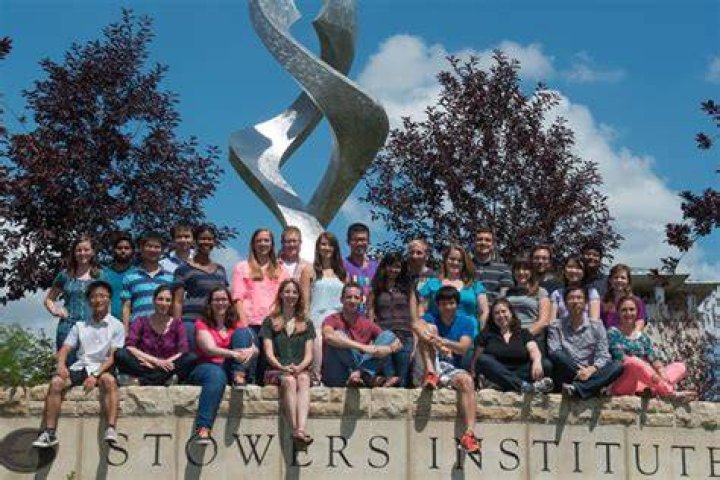 2013 Summer Scholars School for Advanced Research