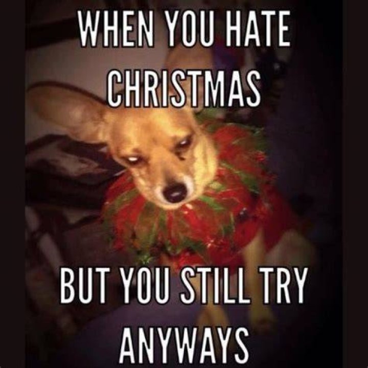 30+ I Hate Christmas Memes & Quotes 2023 for Non Christmas Lovers