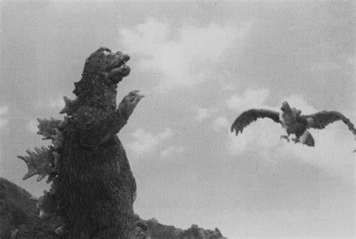 31-Godzilla-Kaiju-Giant Condor.jpg