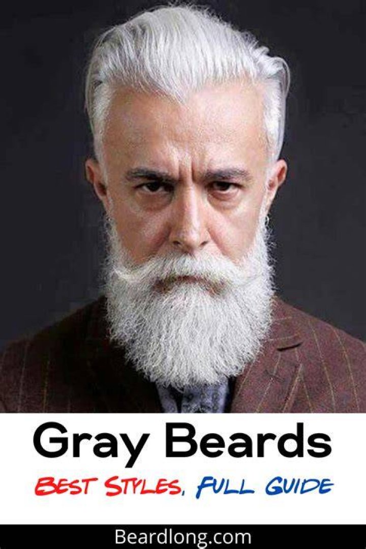 40 Modest Grey Beard Styles For Men Macho Vibes