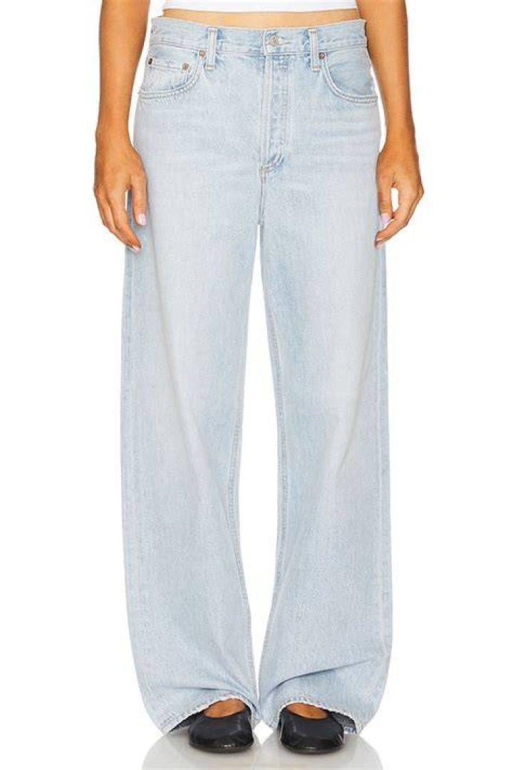 AGOLDE Low Slung Baggy in Libertine