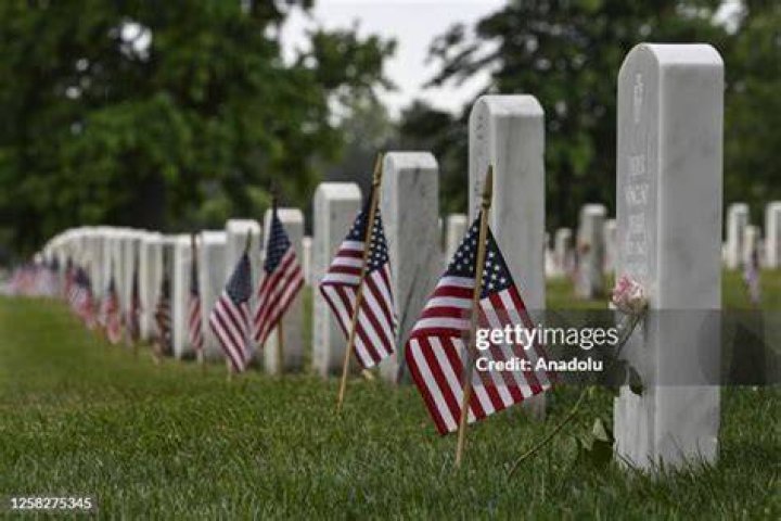 American Flags at Arlington National Cemetery