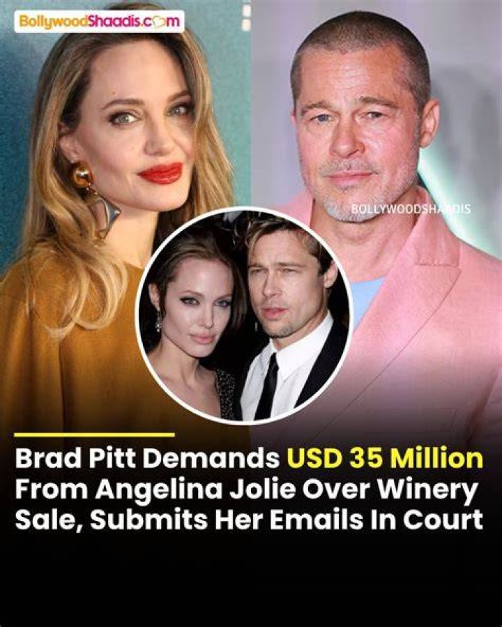 Angelina Jolie sued Brad Pitt for 250 million Wirewag