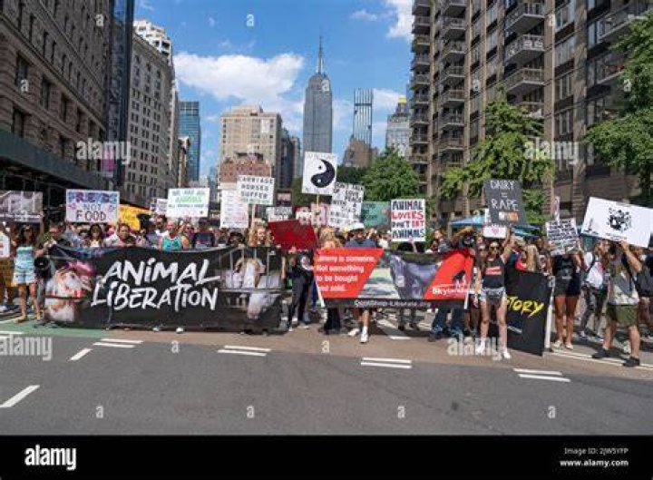  Animal rights activists said it was a 'harrowing' experience