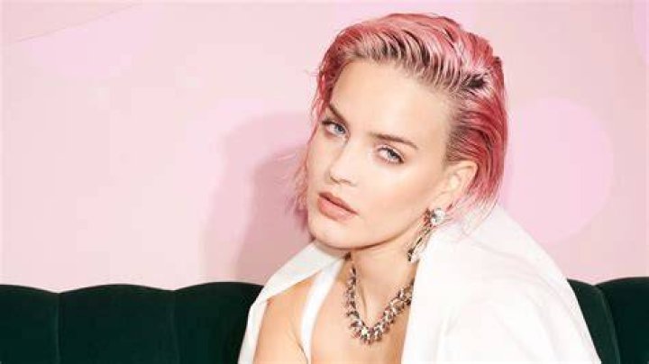 Anne Marie Ballowe Net Worth, Income, Salary, Earnings, Biography, How much money make?