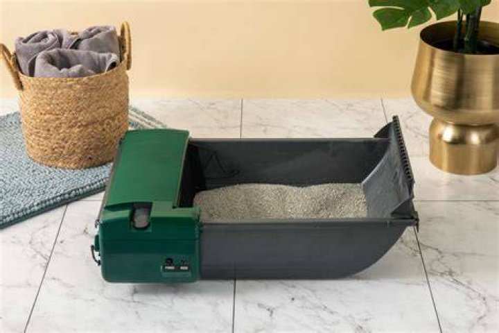 Automatic Litter Boxes Taking the Time Out of the Chore
