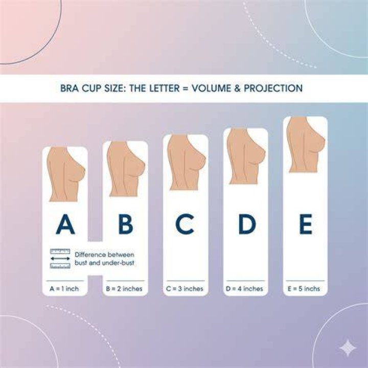 B Cup Breasts Perfect B Cup Size Example, Comparisons & Best B Cup Bras