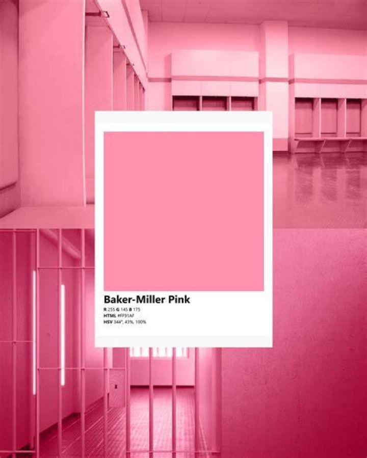 Baker-Miller pink can be found at this prison in Seattle, as well as throughout Barbieland