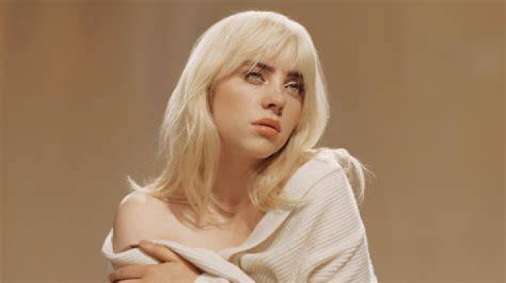 Billie Eilish's Red Oscar de la Renta Met Gala Indoor Dress POPSUGAR