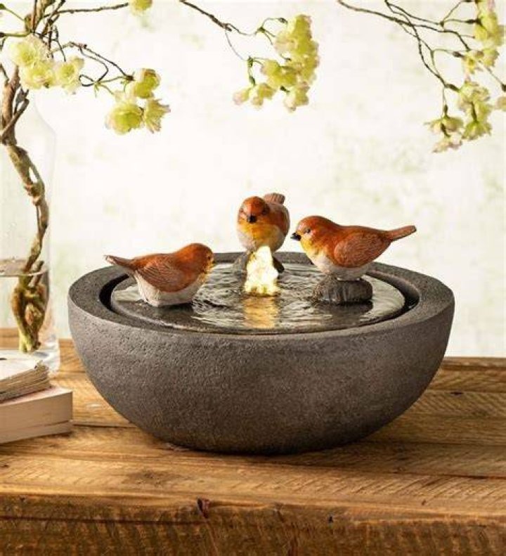 bird indoor fountain