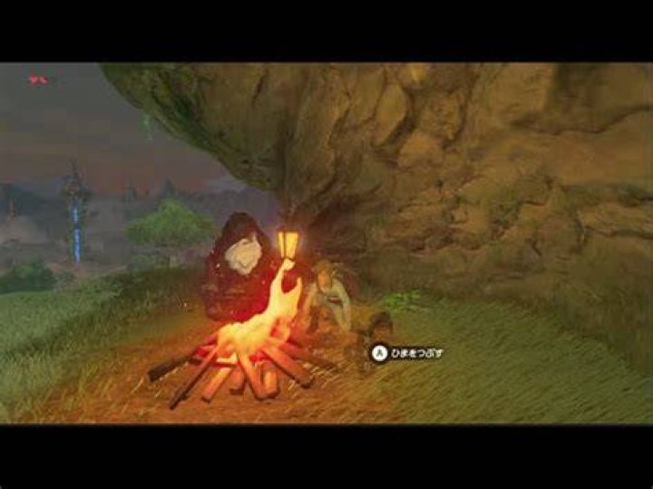 BOTW Campfire.jpg