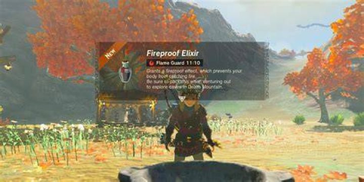 BOTW Fireproof.jpg