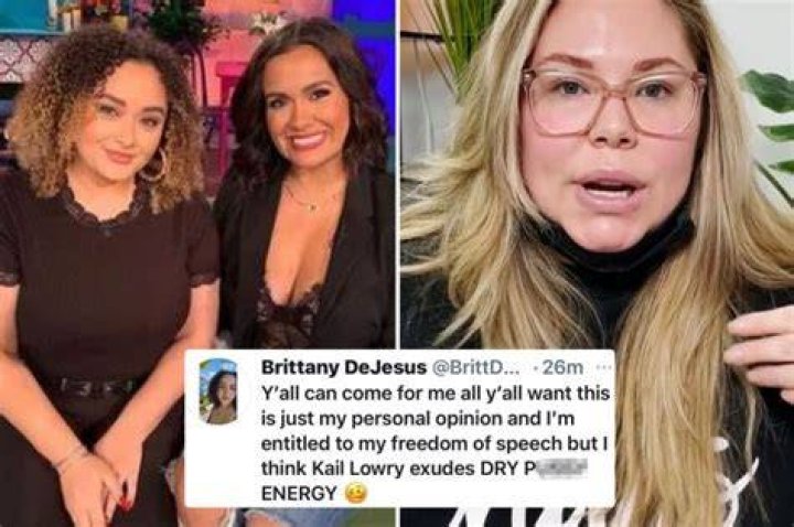 Brittany DeJesus slammed Kailyn Lowry for suing her sister Briana