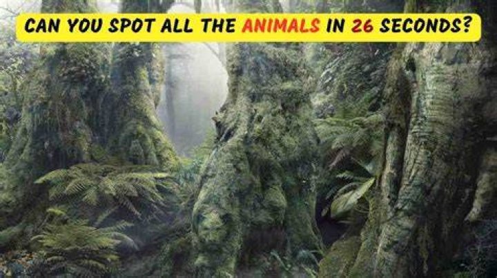 Can you spot the hidden number 8 in this brain teaser?