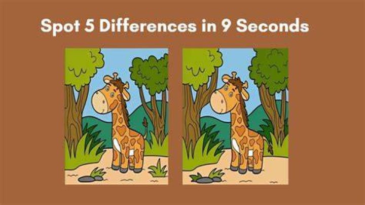 Can you spot the second animal in this image?