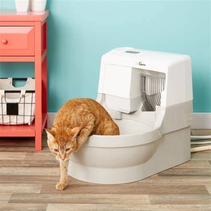 CatGenie Self Washing & Flushing Cat Litter Box; Automatic Cleaning