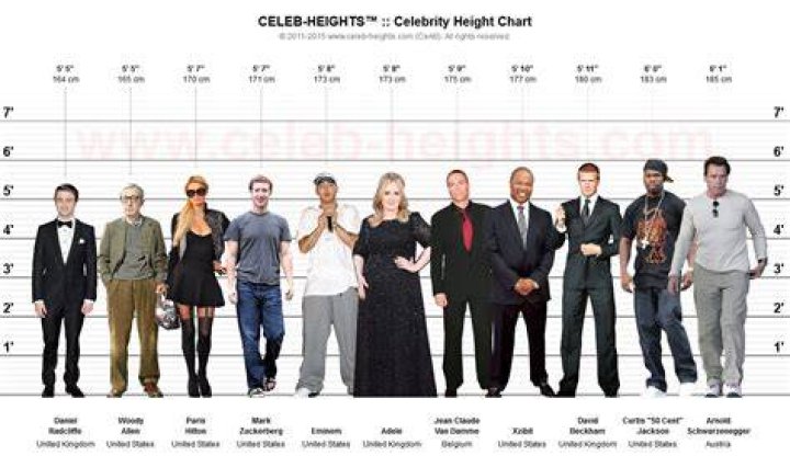 Celebrity Heights How Tall Are Celebrities? Heights of Celebrities How tall is Andy Grammer?