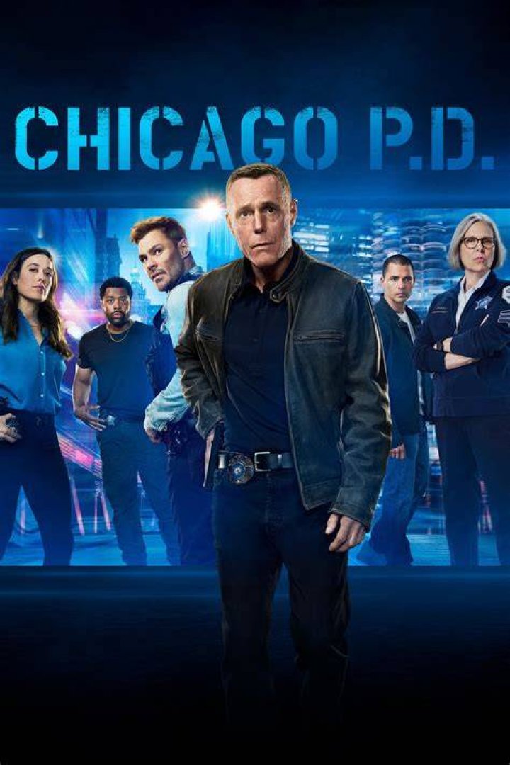Chicago P.D.'s Jason Beghe Hints Voight May Finally Get a Love Interest Nicole Ari Parker