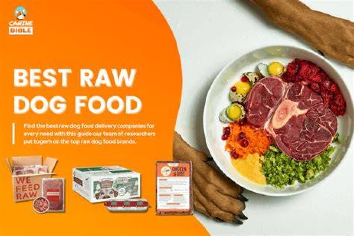 Comp a Dog and Raw Meat