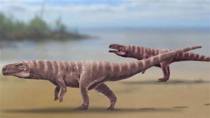 crocodile ancestors