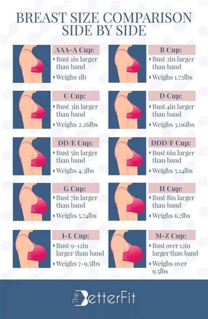 Cup Size Comparison Chart
