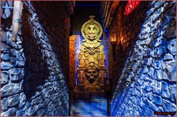 Discovering The Enigma Of Jackerman
