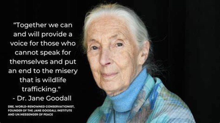 Dr. Jane Goodall Thinks We Can Be Better Travelers&mdash;For the Sake of the World Cond&eacute; Nast Traveler