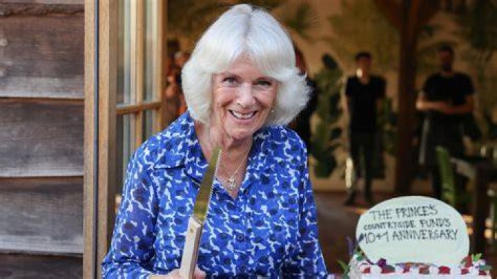 Duchess Camilla Jokes She's Disappointed Colin Firth Isn't Wearing Pride and Prejudice Shirt on Outing
