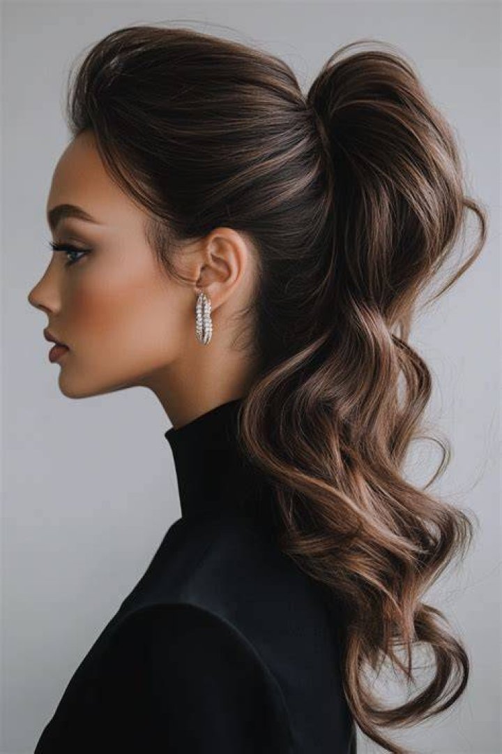Elegant Ponytail Hairstyle