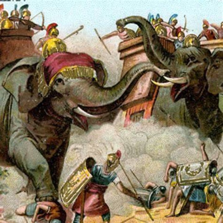 Elephants were used to crush criminals in brutal execution ceremonies in Medieval India