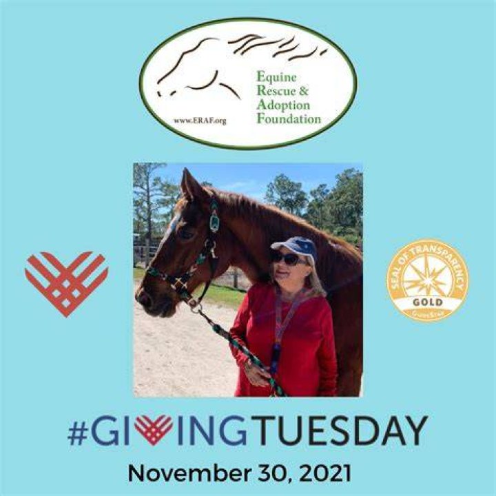 Equine Rescue and Adoption Foundation