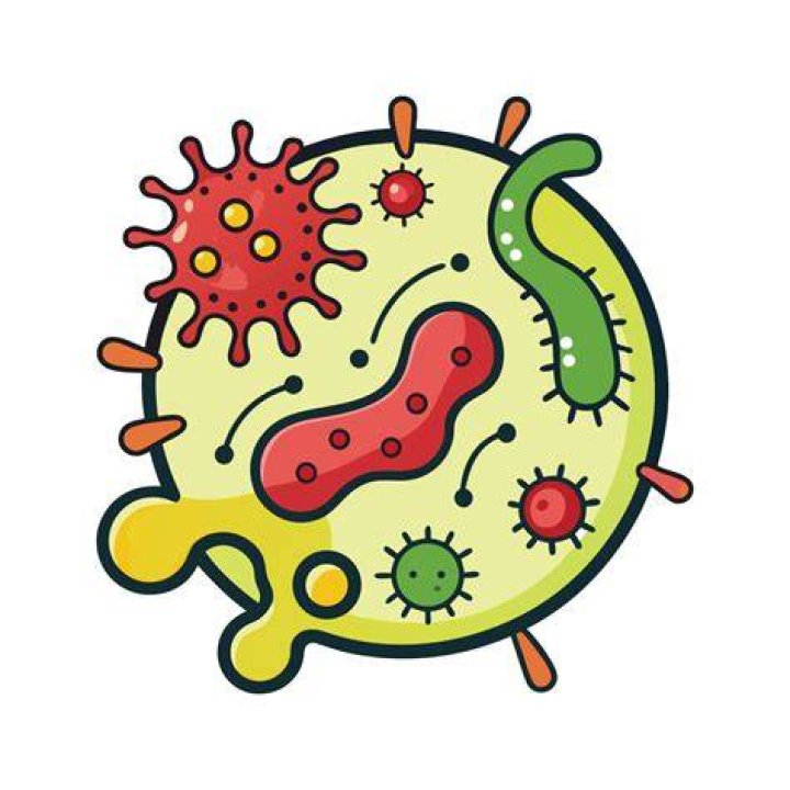 Flesheating disease 12yearold contracts flesheating bacteria