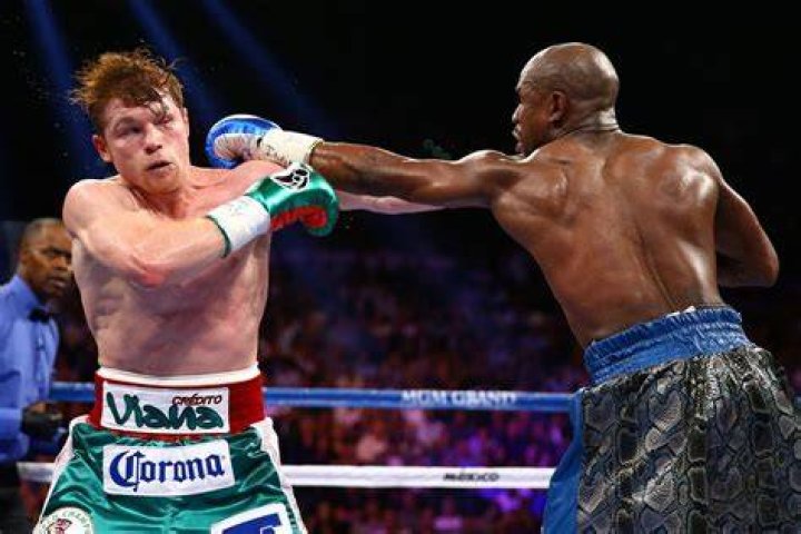 Floyd Mayweather and Canelo Alvarez both wore Grant gloves for their 2013 fight