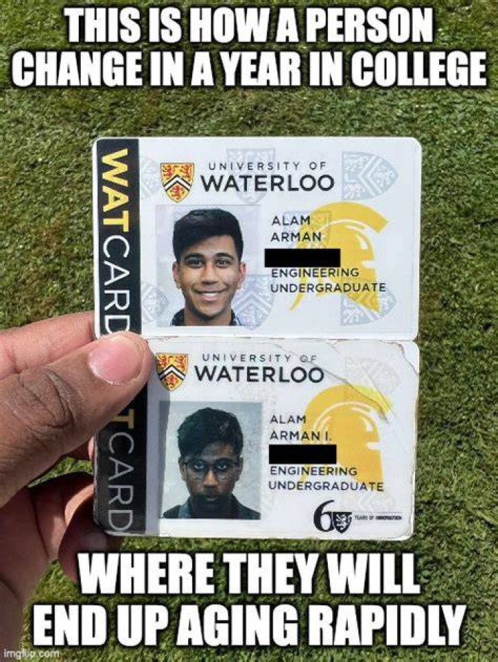 Freshman ID Card vs. Sophomore ID Card Imgflip