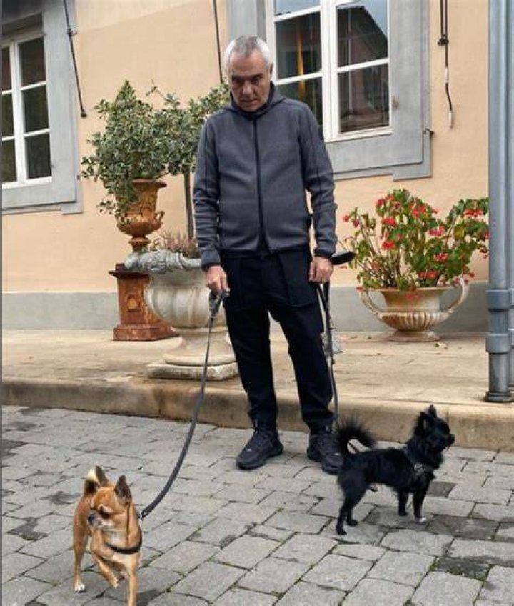 Giorgio is a Chihuahua, while Ralph is - what many viewers guess to be - a 200-pound St Bernard or English Mastiff