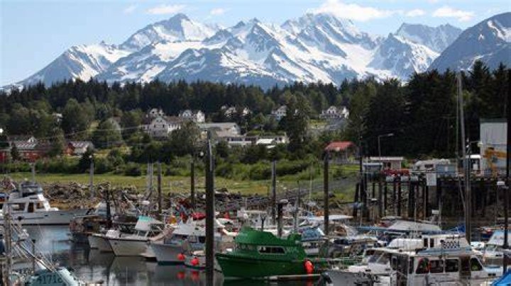 Haines' political party affiliation is unclear