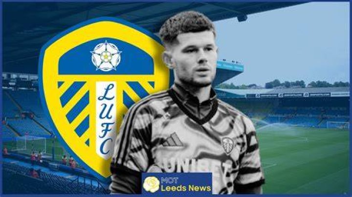 Hanlon, from Leeds, now faces up to seven years behind bars