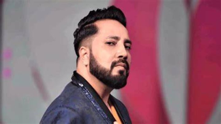 Has Mika Singh fallen in love with 'Bade Achhe Lagte Hain' actress Chahatt Khanna? Find out what's 