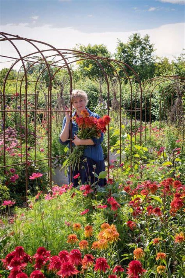Her garden was in some serious need of TLC