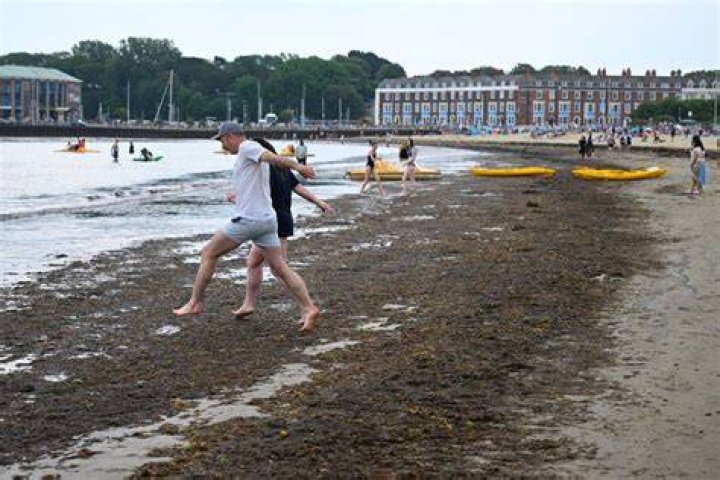 Holidaymakers in Weymouth fighting their way through the sludge