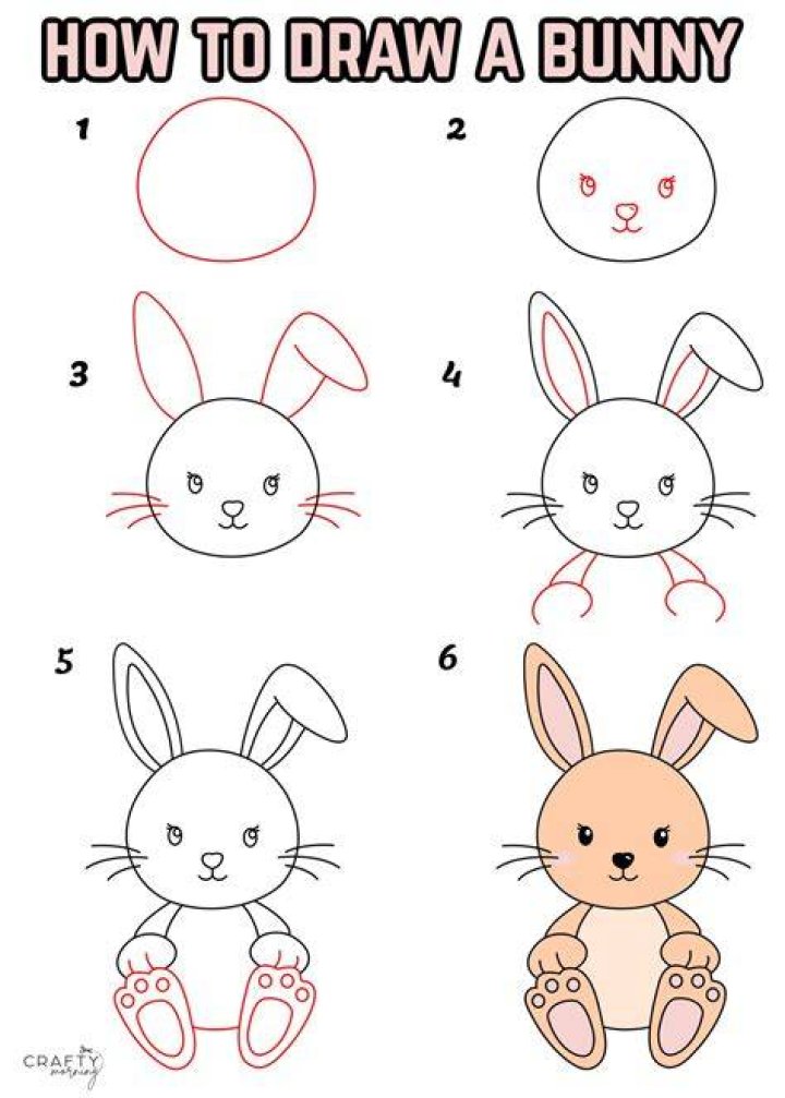 How To Draw A Bunny Printable