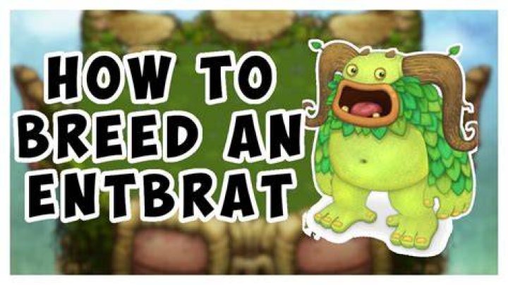 How To Make An Entbrat
