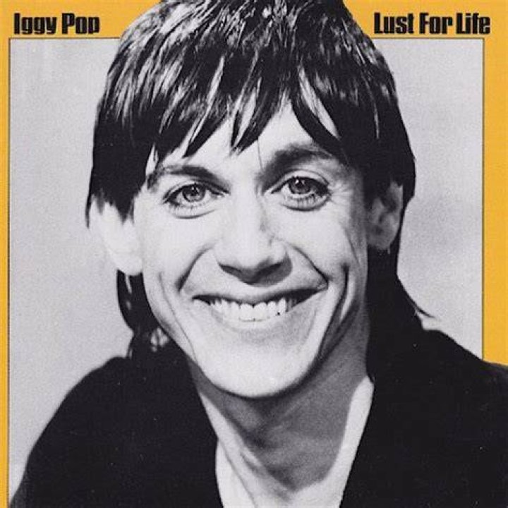 Iggy Pop The Best Albums of 2023