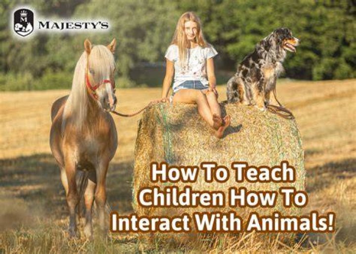 Interact with animals at the adjacent rescue sanctuary. Photo by Daney Cabrera