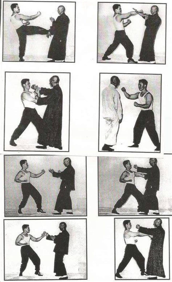 Ip Man Wing Chun Chinese Martial Arts Kung Fu, PNG, 1100x1300px, Ip Man