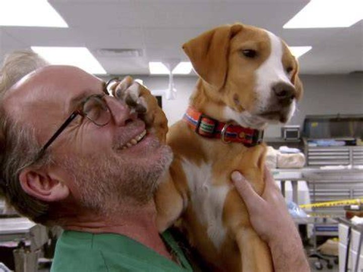 Is Dr. Jeff Baier still with Dr. Jeff? Wife, Wikipedia bio. Vetshows.