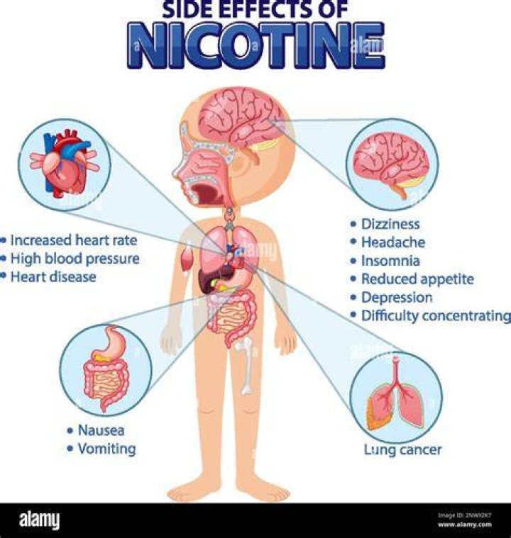 Is Nicotine Harmful on Its Own? Recovery Ranger