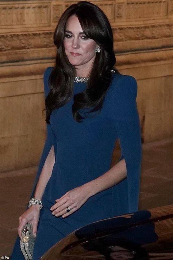 Kate paired her dazzling accessory with a &pound;1,000 dress from Emilia Wickstead